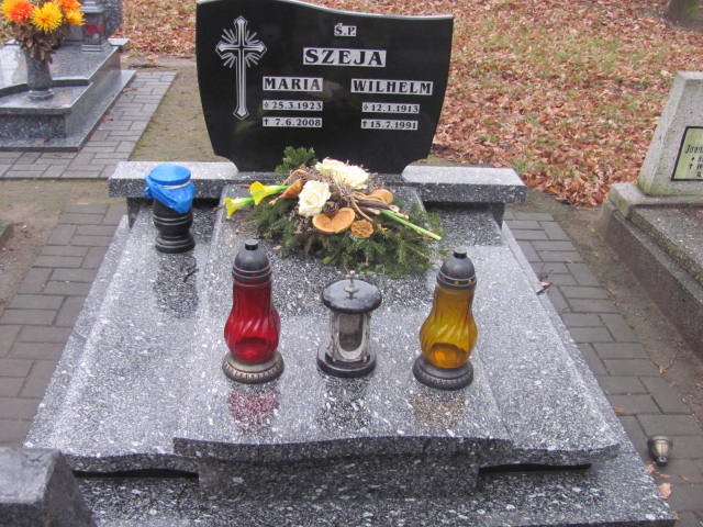 Grób Wilhelm Szeja
